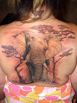 elephant tattoo trees tattoo on sexy girl back
