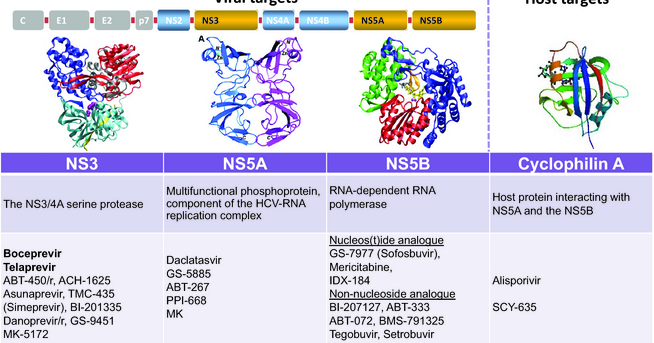 HCV New Drugs Treatment of hepatitis C virus genotype 3
