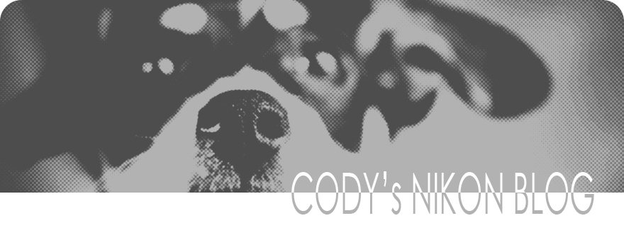 CODY's NIKON BLOG