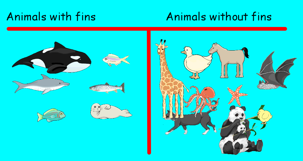 A Day in the Life of Grade 1E....: June 2013