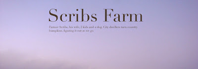 Scribs farm