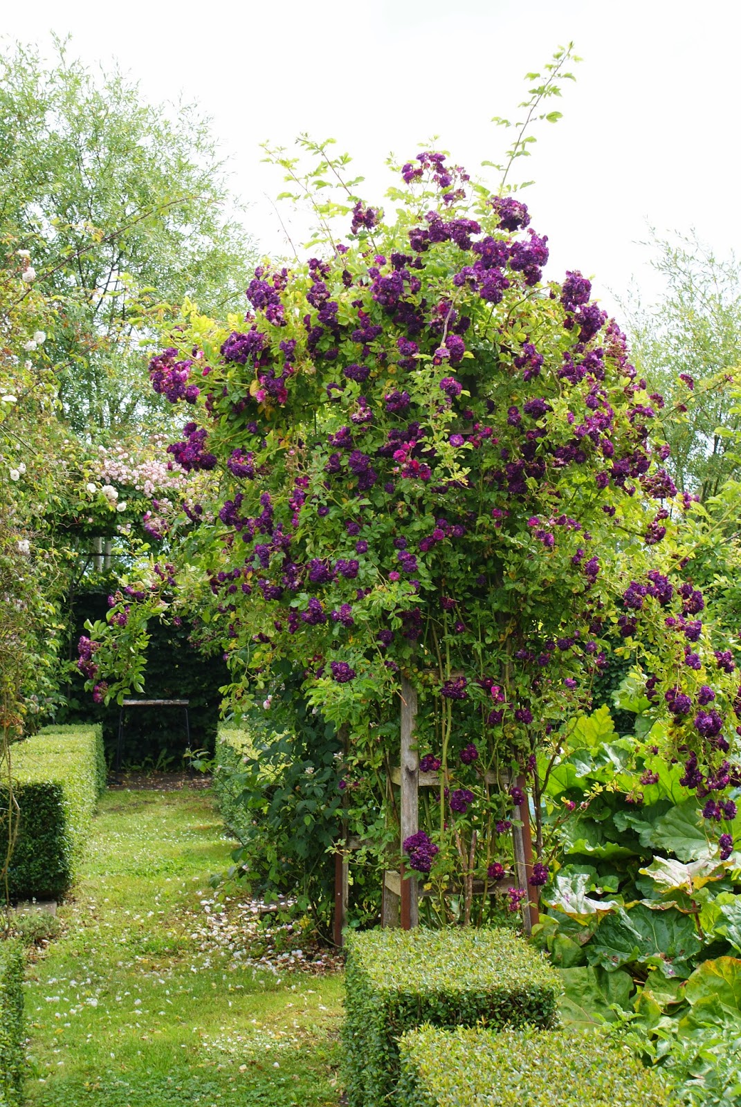 KJELD SLOT WHERE HAVE ALL THE ROSES GONE...?