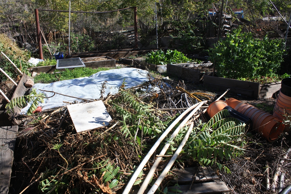 The Edible Garden: November 2011