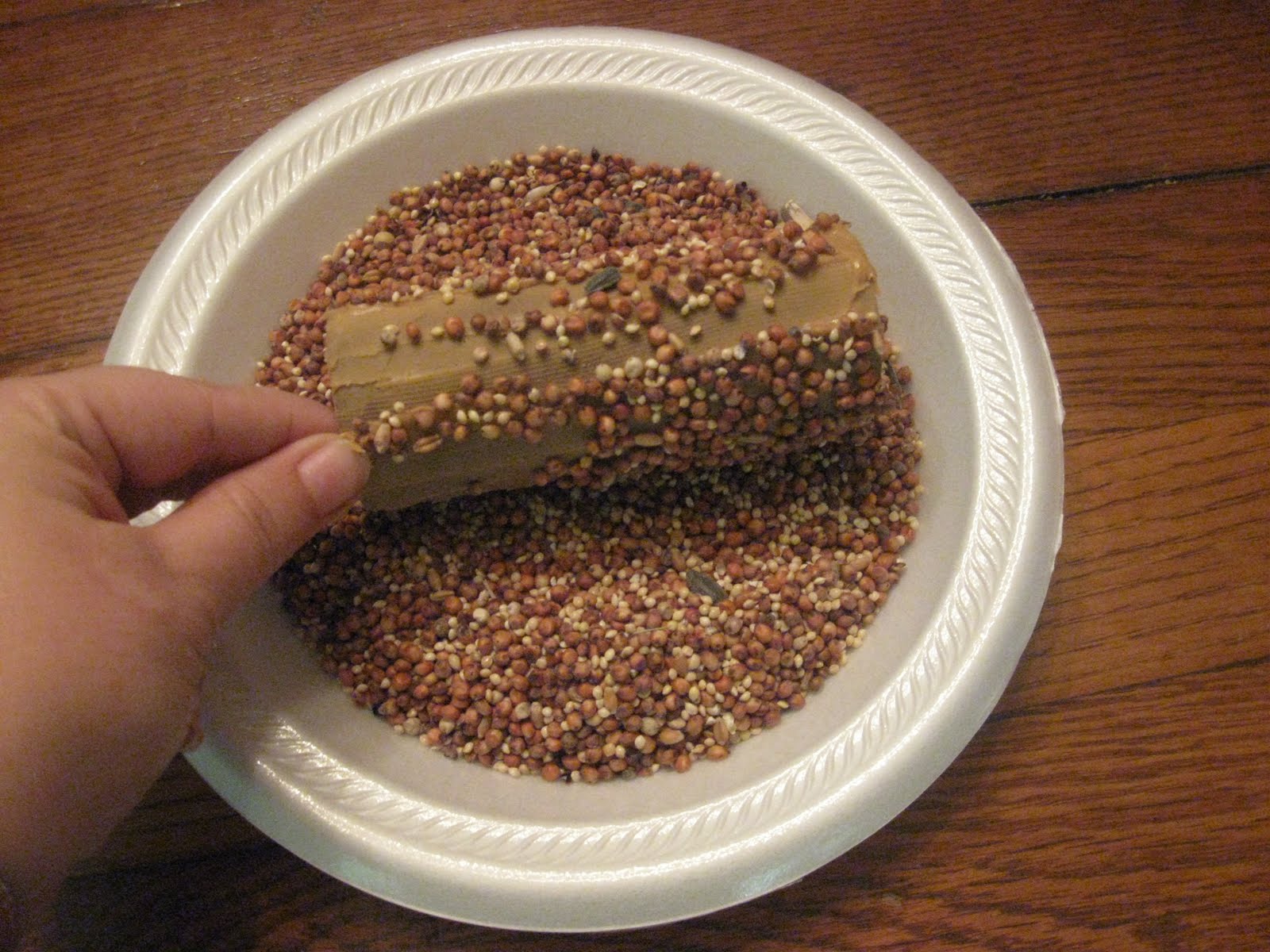 Taste and See God's Goodness Easy Bird Treats