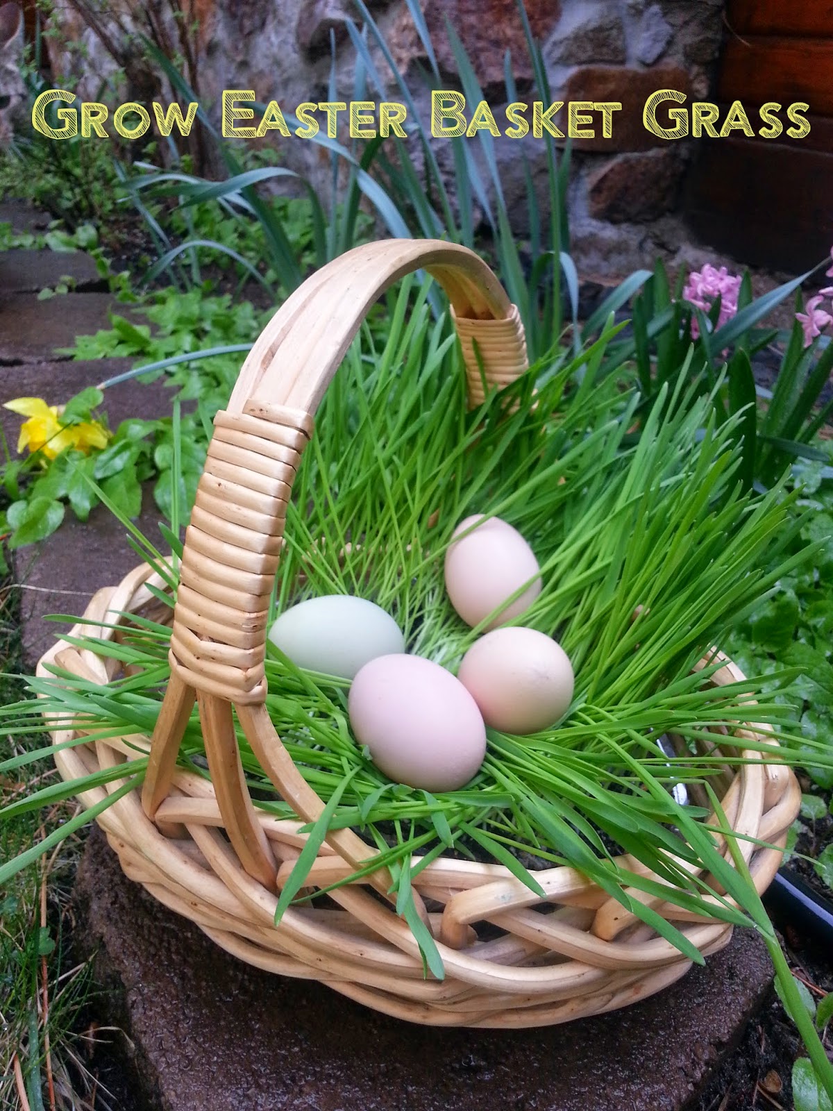 Choices for Children: Real Easter Basket Grass