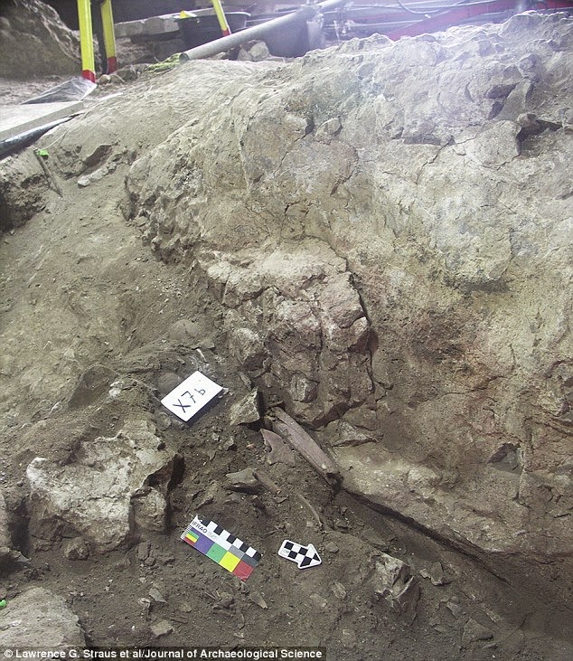 Ermitiella La dama roja magdaleniense de la Cueva del Mirón