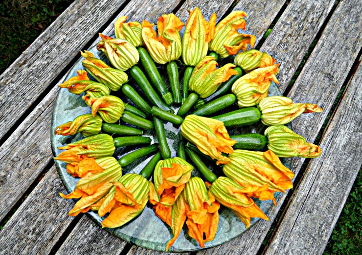 Chez Maximka Stuffed zucchini flowers