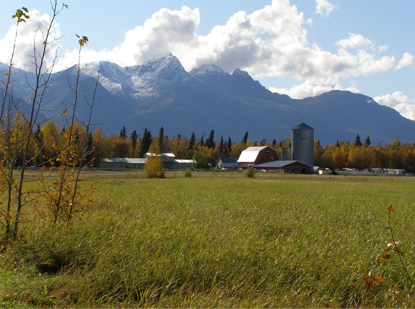 ArtStream Road Trip Going South to Palmer and Homer, Alaska