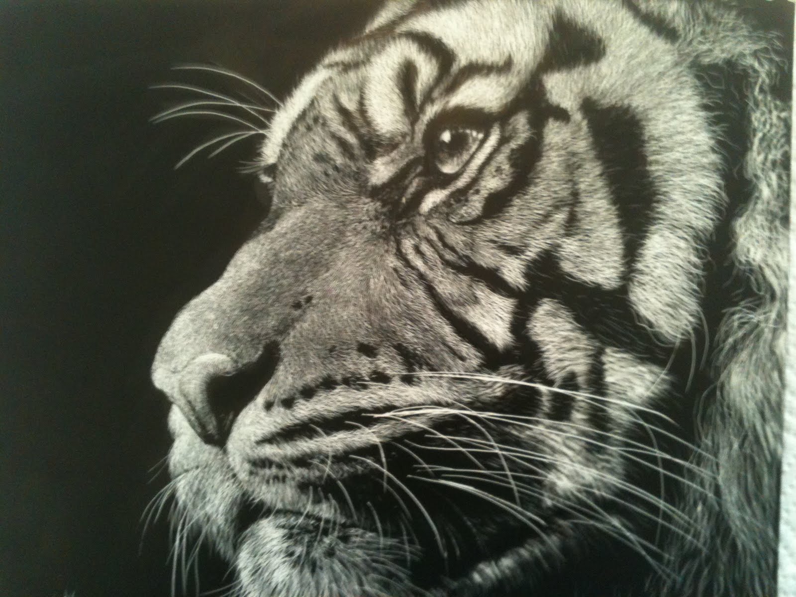 Beth Dix Art...embroidery and quilting! Scratchboard Drawings
