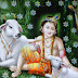 Lord Krishna Wallpaper - 3