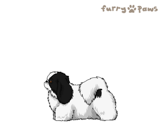 http://3.bp.blogspot.com/-2j3ZlVCPX-A/UBNaHA-hZmI/AAAAAAAACvc/DYmTEMV0uBI/s320/10Black+and+White+(Extreme+Piebald)+9.png