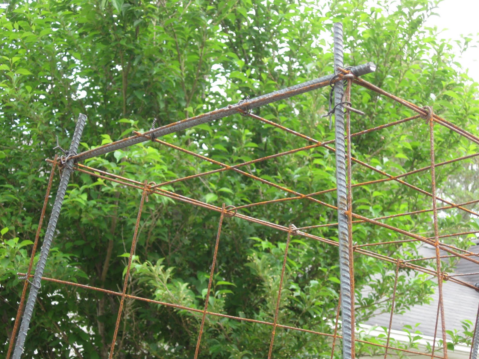 Gardening From the Ground Up May 31, 2011