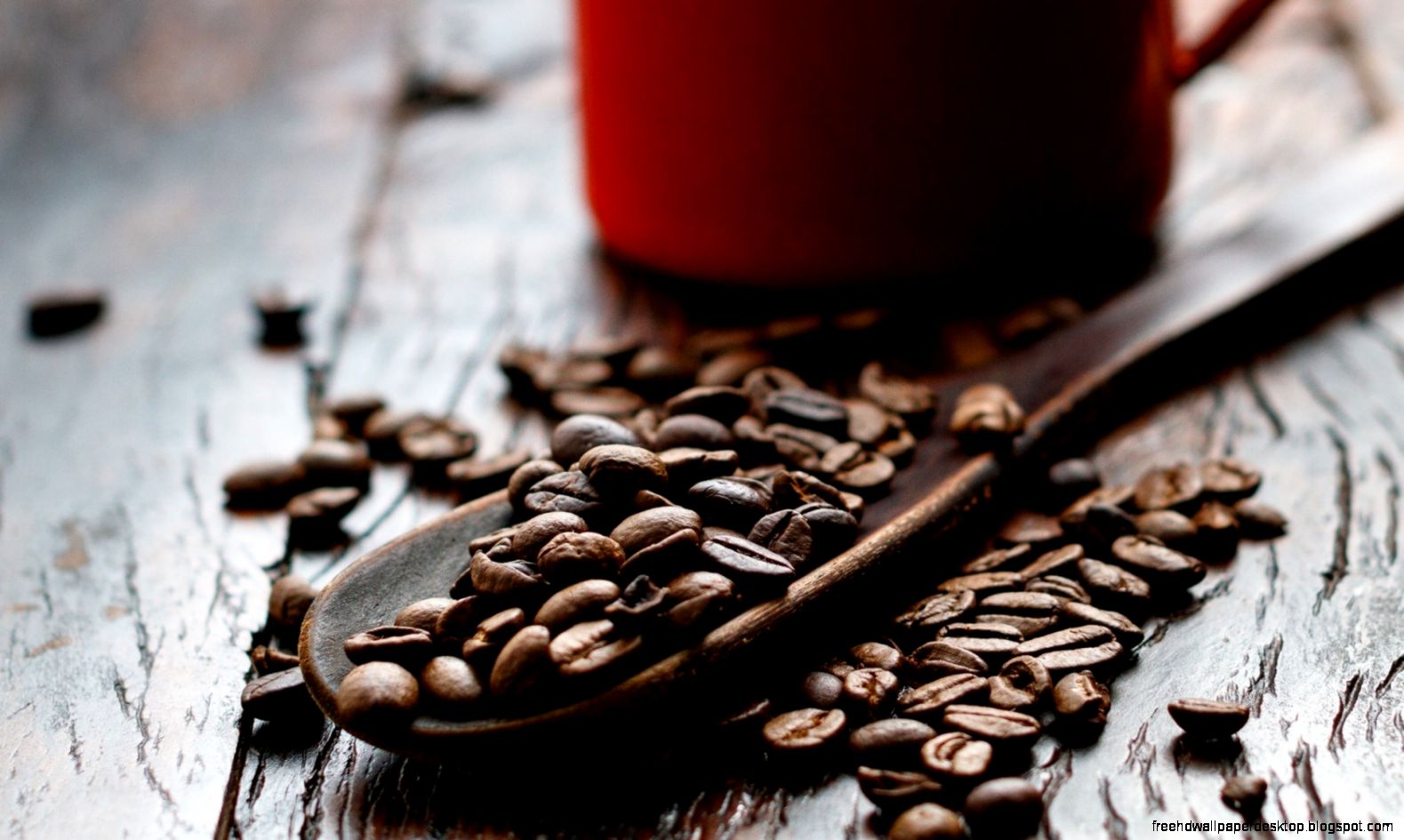 coffee spoon close up hd wallpaper coffee spoon close up hd wallpaper
