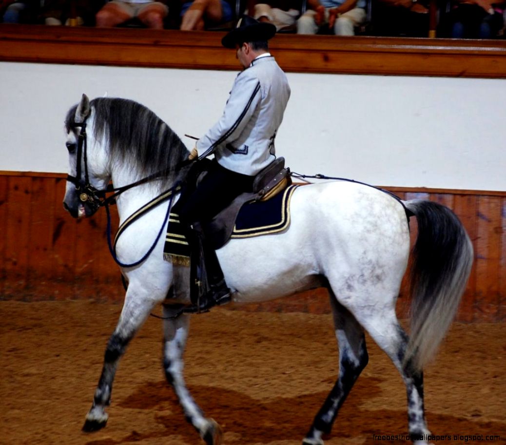Royal Andalusian School of Equestrian Art Jerez de la Frontera Royal Andalusian School of Equestrian Art Jerez de la Frontera