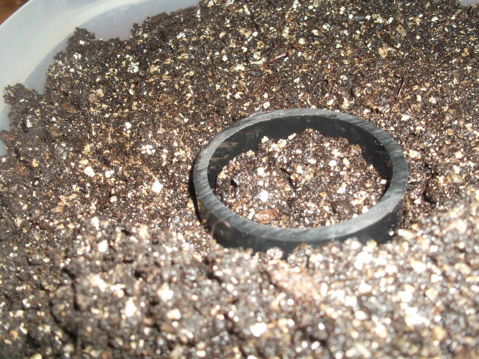 My Half Acre Homestead Soil Blocks for Seed Starting!