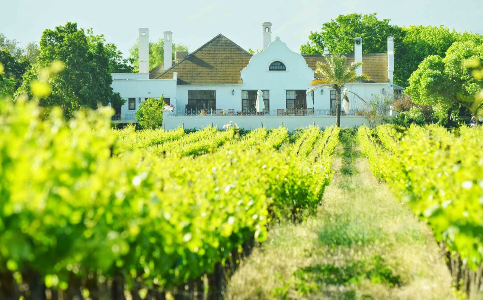 . Excelsior Wine Estate, Robertson