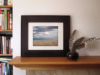 A framed photo of a pale mother cow and her two calves travel across the dry and dusty high plains of Colorado with a stormy dark sky overhead.