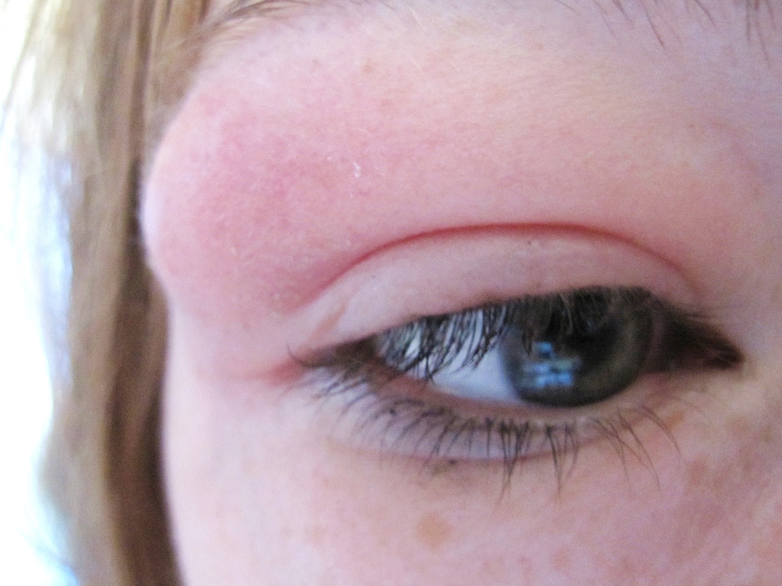 The Noble Art of Chucking Things Away Guten Berlin!