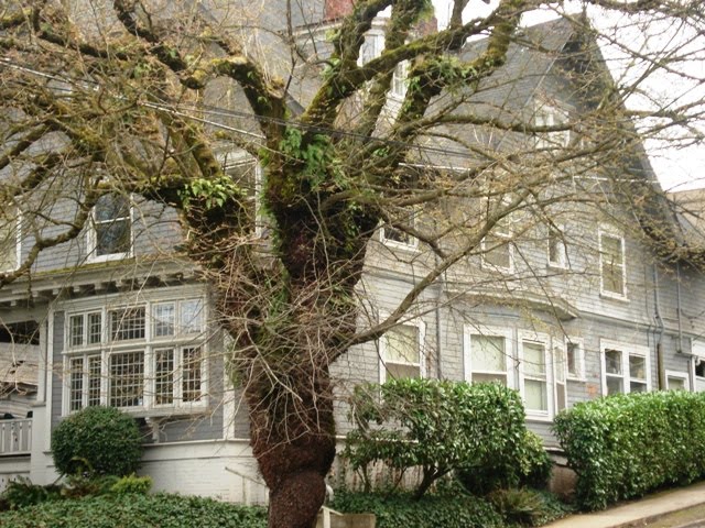 2486 NW Kearney, Portland OR