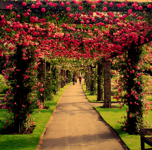 Había una vez...: Bosques y jardines (Imágenes)
