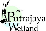 Putrajaya Wetland