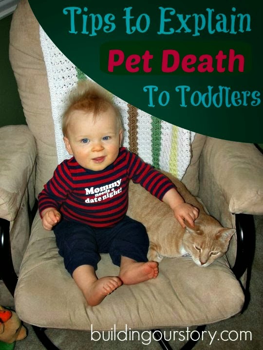 Helping a Toddler Understand Pet Death Building Our Story