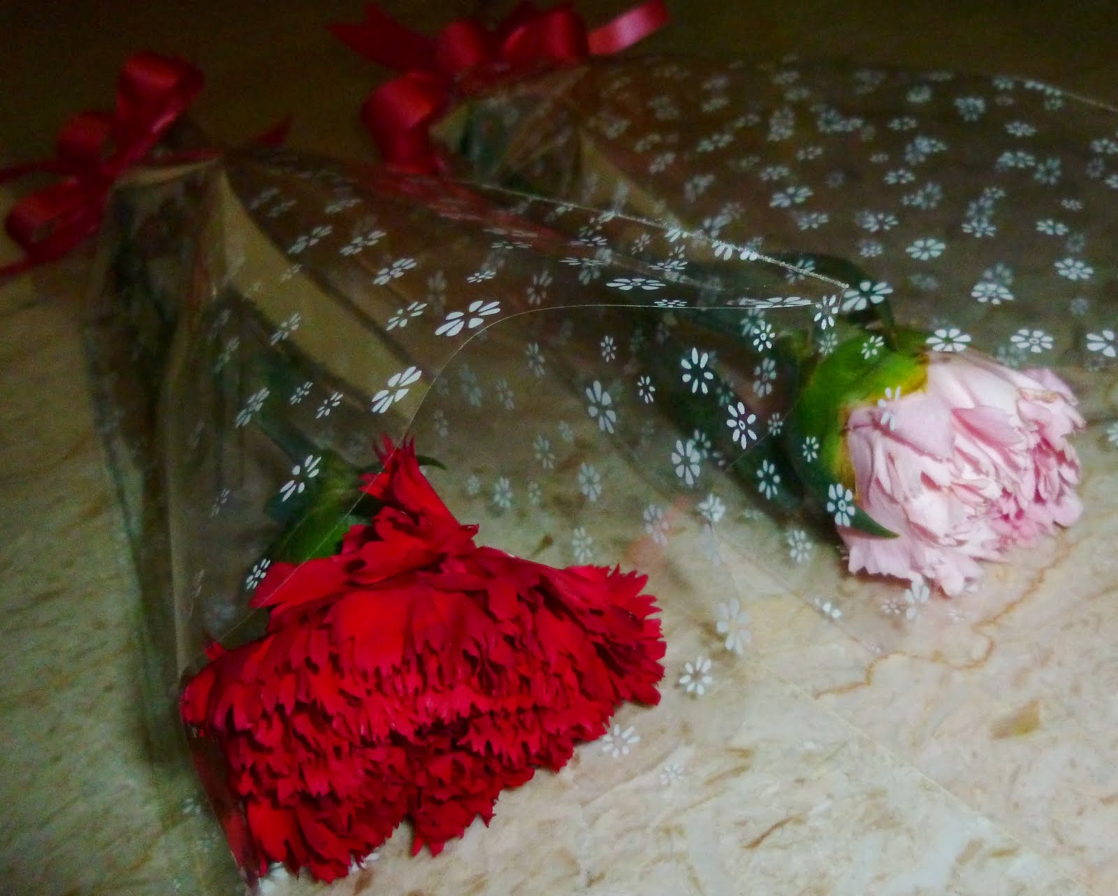 Fancy Flowers Services Mother's Day Carnations Single Stalk