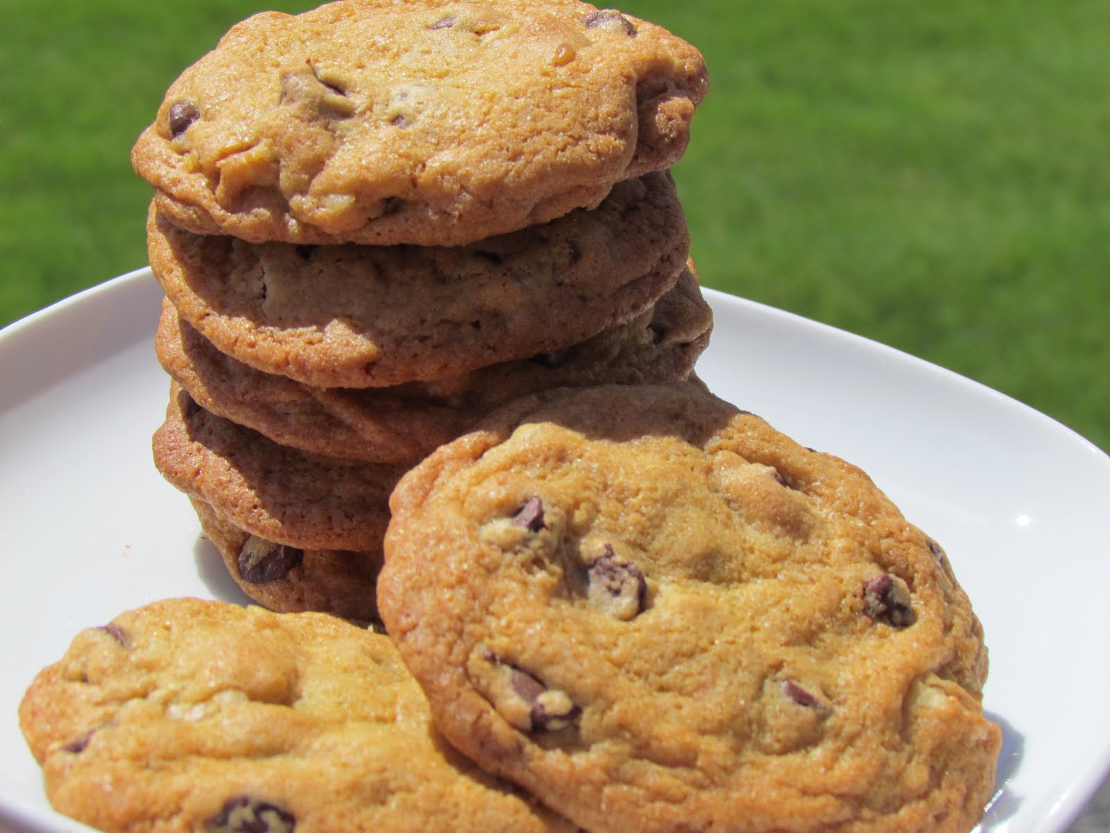 Double Chocolate Cookies