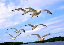 Finding Graduate Engineering Jobs Is Easy. Honesty