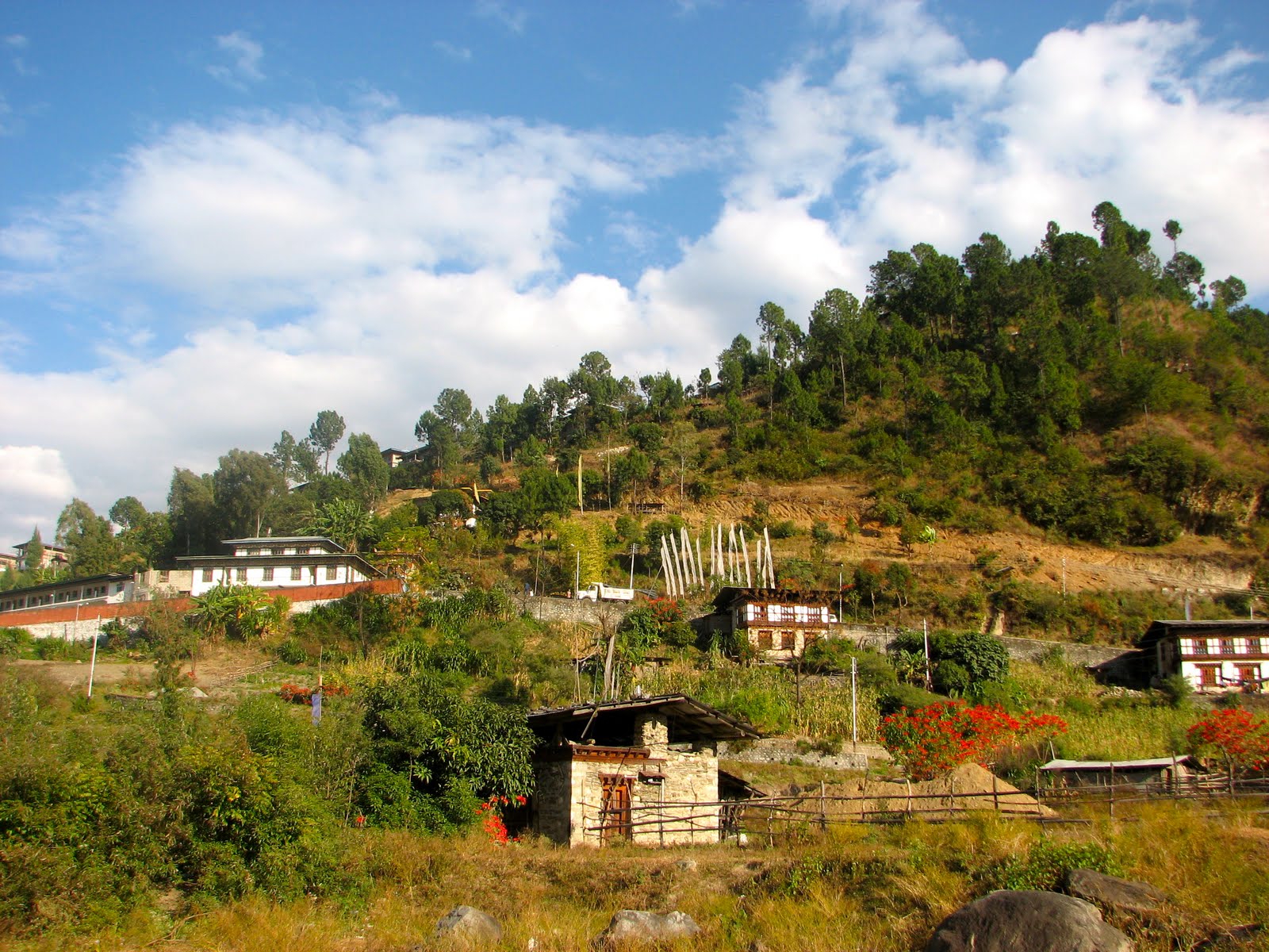 Causes of rural-urban migration in bhutan picture