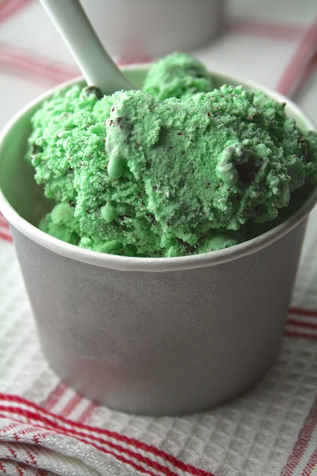 Oregon Transplant Dark ChocolateMint Ice Cream