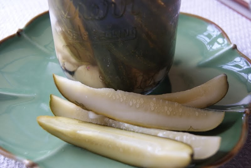 BubbleCrumb Homemade Kosher Deli Pickle Recipe