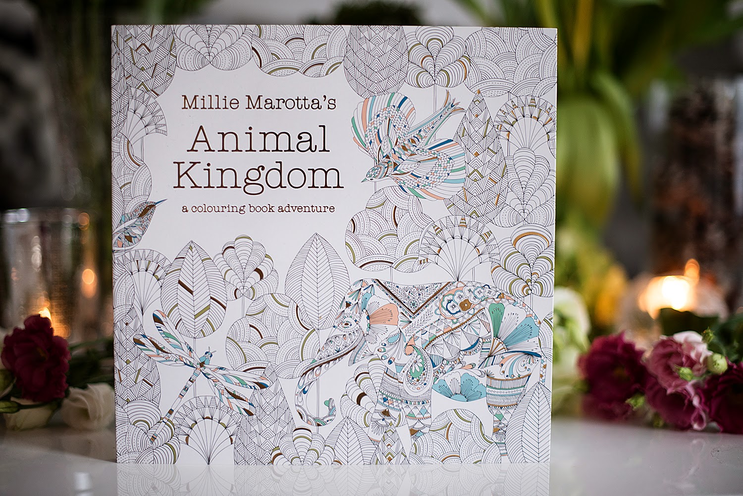 Featured image of post Millie Marotta s Animal Kingdom A Colouring Book Adventure