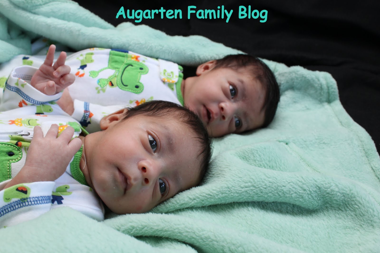 Augarten Family Blog