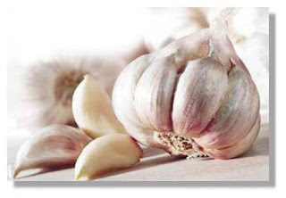 ¿Cuál es el valor de la cáscara de ajo? - GAT Fertilíquidos