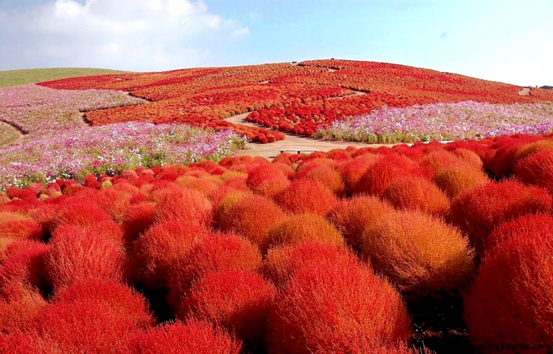 Top 10 Beautiful Places In The World That Actually Exist Part 1 Top 10 Beautiful Places In The World That Actually Exist Part 1