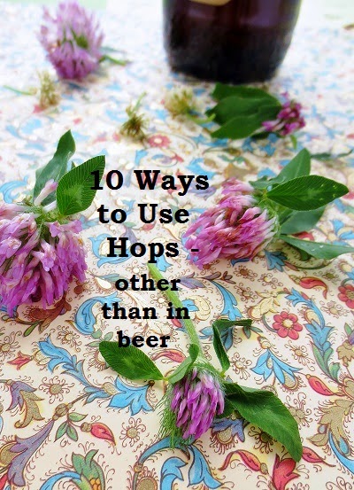 http://poorandglutenfree.blogspot.com/2014/07/10-ways-to-use-hops-other-than-in-beer.html