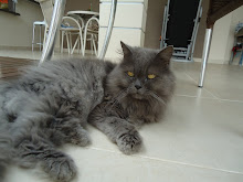 Fundadora (Rutha)