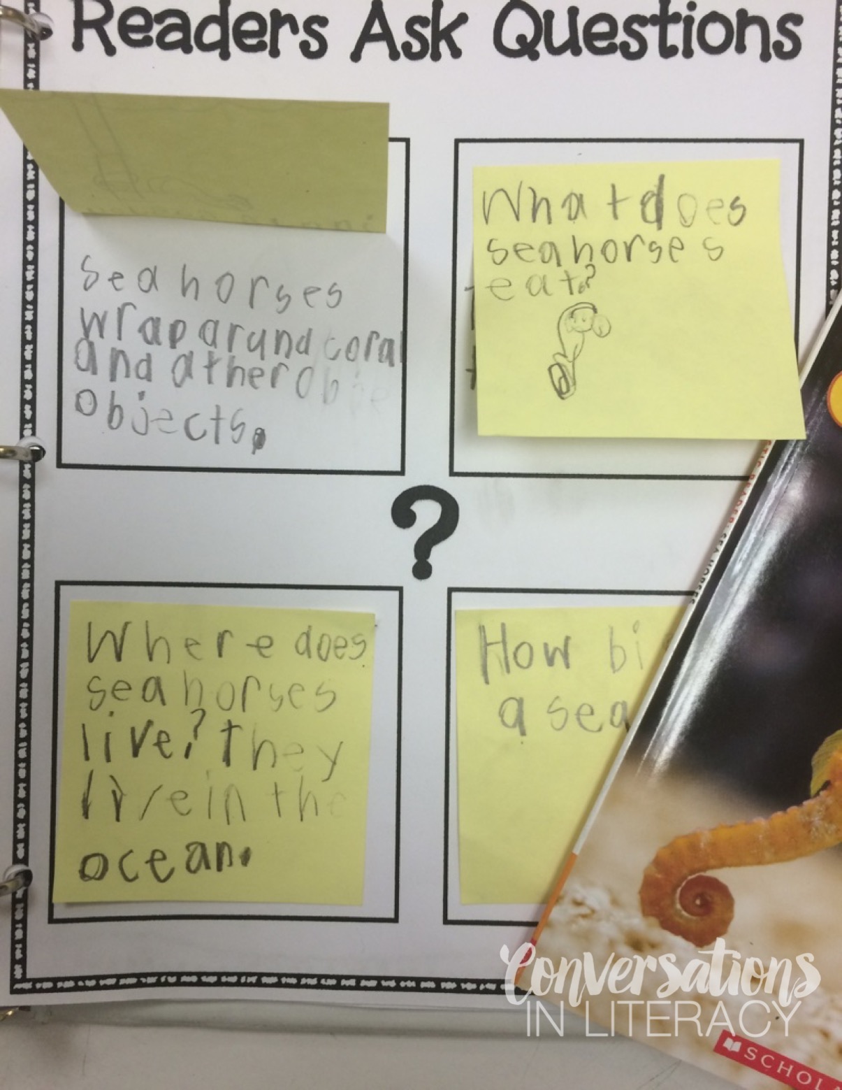 What's In The Bag?? Conversations in Literacy