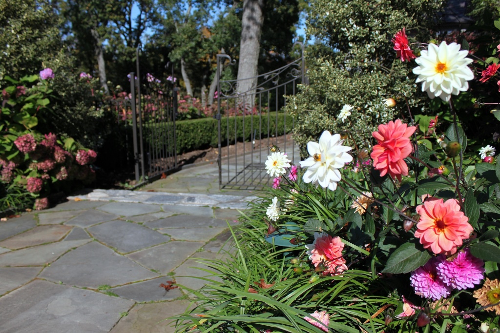 Serenity in the Garden