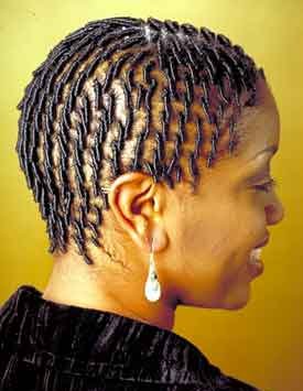 All Fun 143 Black Hairstyles Braids