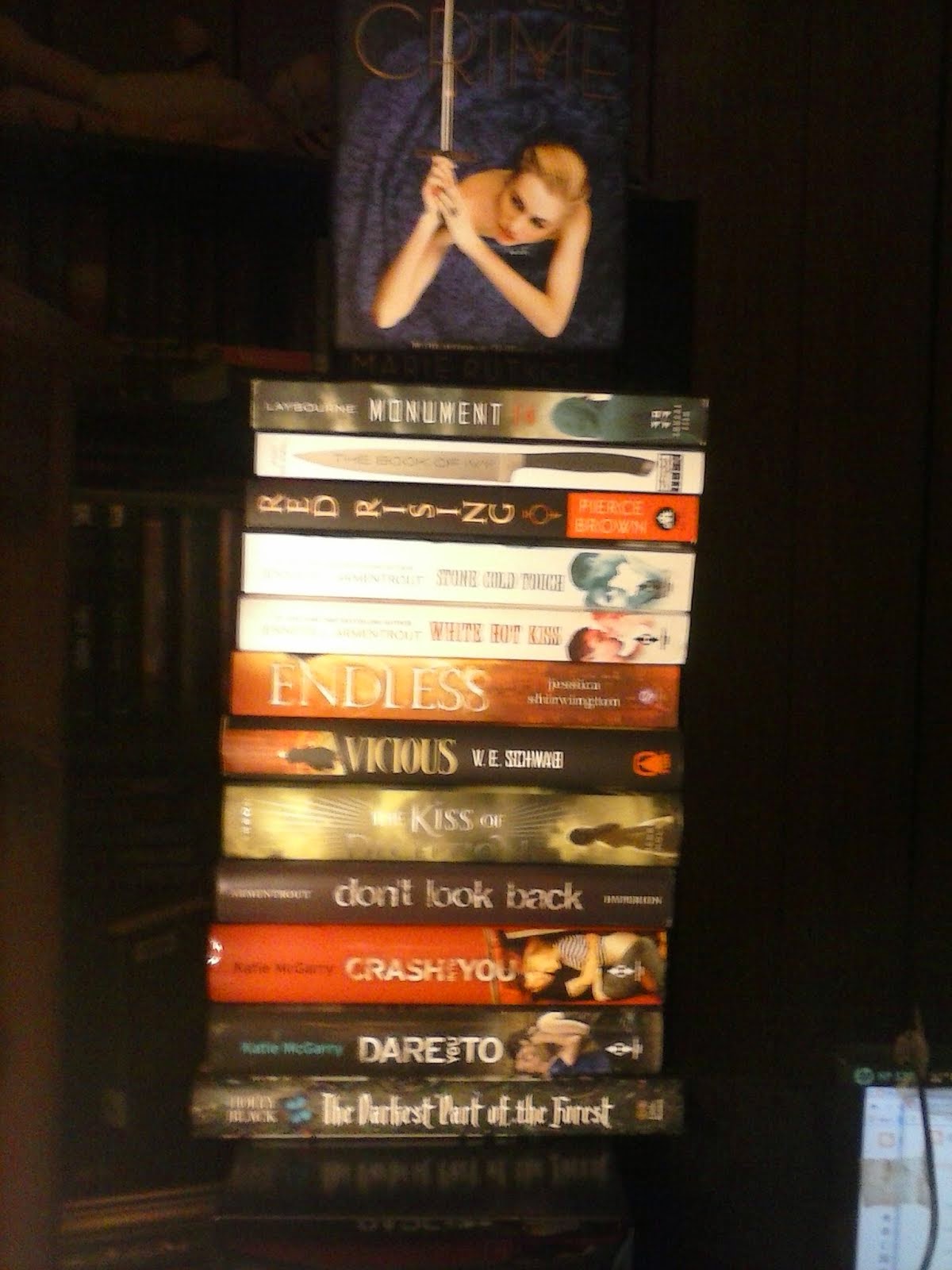 Latest Blurry Book Haul by Theresa