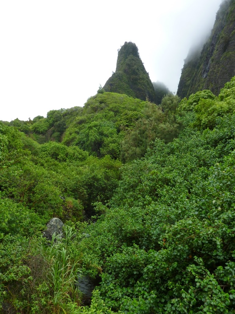 Observations of the Practical Kind Maui Iao Valley State Park and Iao