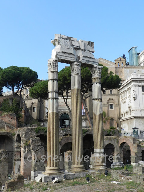 Pillars shown as part of the ruins of the Ancient City of Rome