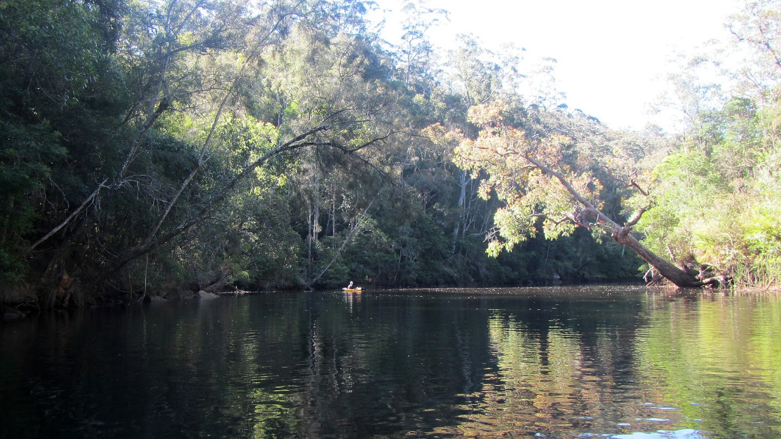 ROCK'S ADVENTURES CENTRAL COAST MOONEY MOONEY CREEK KAYAK 27 NOVEMBER 2013