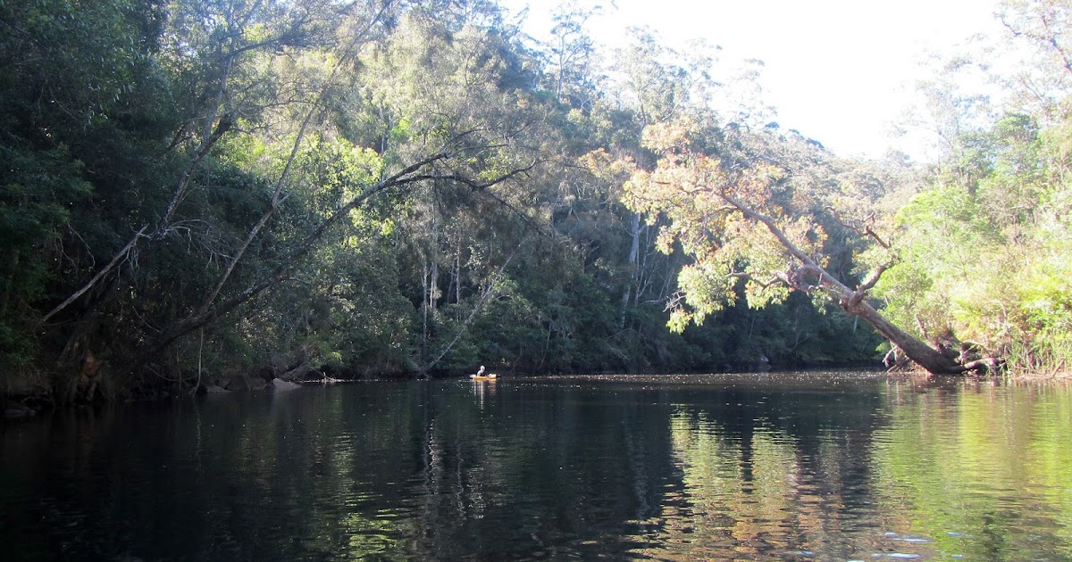 ROCK'S ADVENTURES CENTRAL COAST MOONEY MOONEY CREEK KAYAK 27
