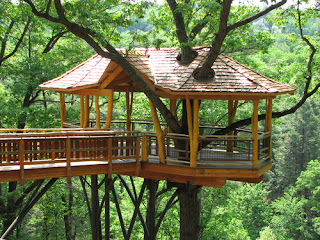 tree house plans