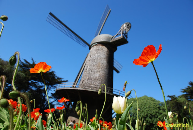 North dutch windmill