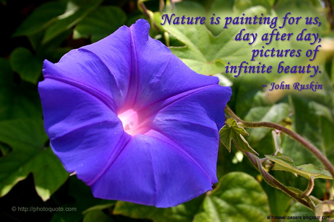 Quotes About Beautiful Nature Quotes About Beautiful Nature