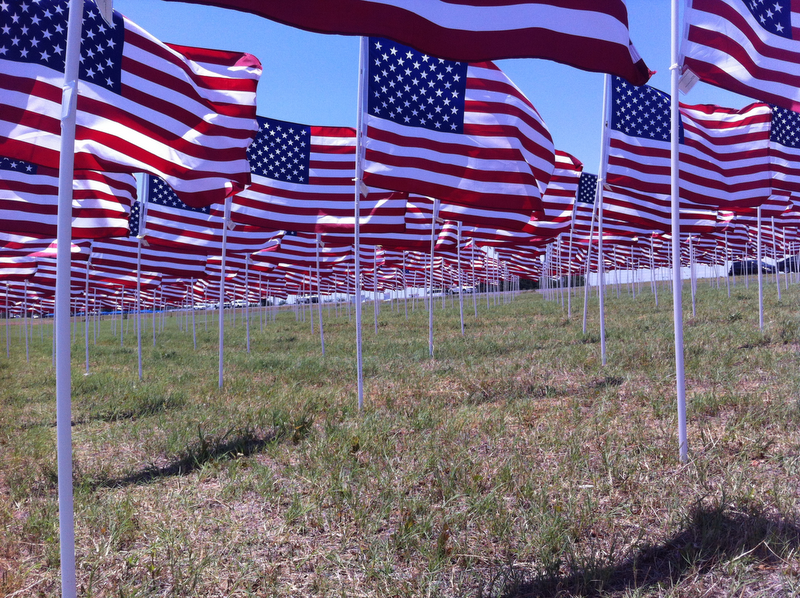 E3 Creations Field of Flags